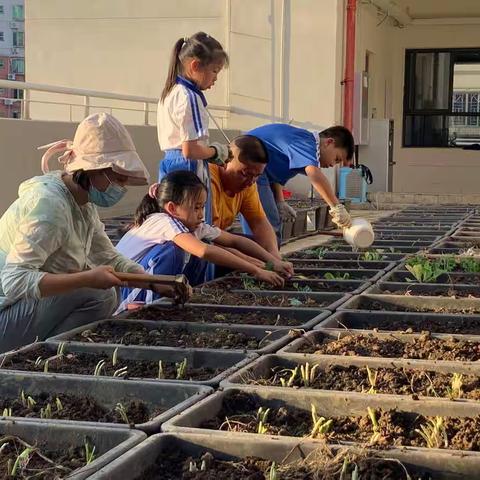 东方半岛小学“劳动教育基地”