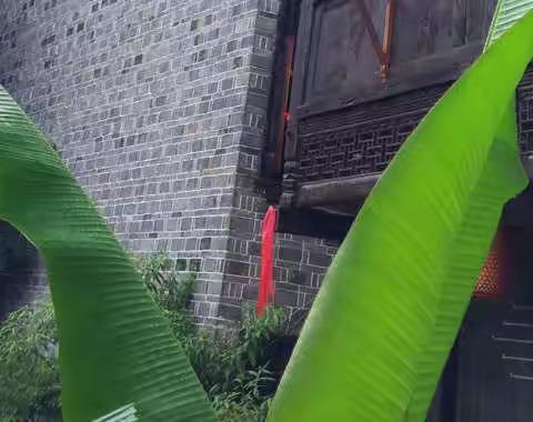 一场烟雨，洒落着红尘牵念