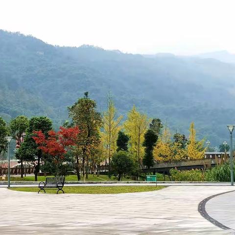 暮秋，故乡情思