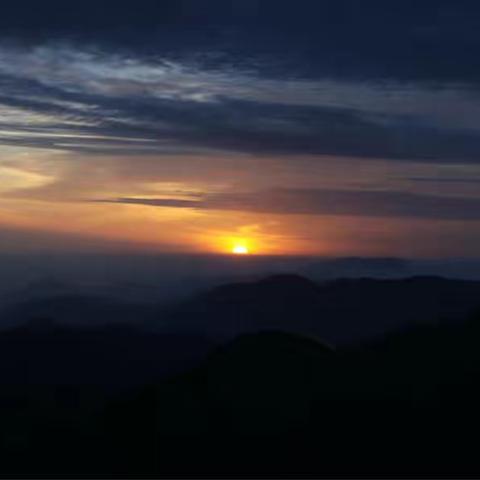 人言落日是天涯，望极天涯不见家