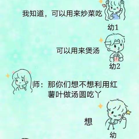 采摘番“薯”叶咯