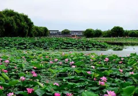 九天揽月一黄宜清的美篇