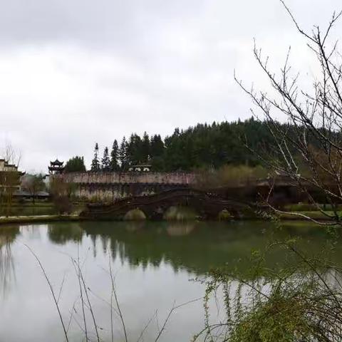 早春二月遥湾村