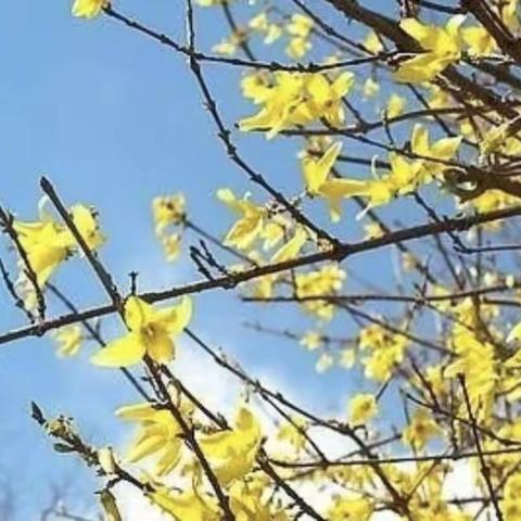 未雨绸缪，静待花开———后坎小学开学疫情防控演练