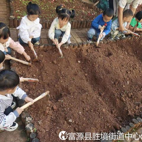 “美食每刻，与爱同行” ———胜境街道中心幼儿园苗苗4班