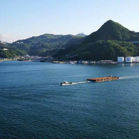 邮轮游记 海上风光，海上花