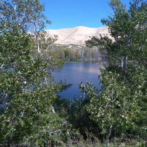 梦寐以求的大美新疆之旅