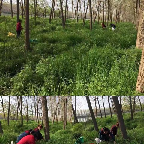 蓓蕾幼儿园的春天