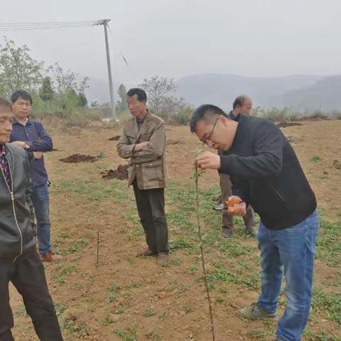 五亩乡杜洼村、孙家岭村成功与北京金粮满仓科技有限公司对接