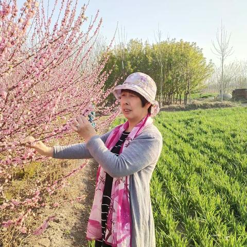 🌺遇见，是一段花开的时光🌺