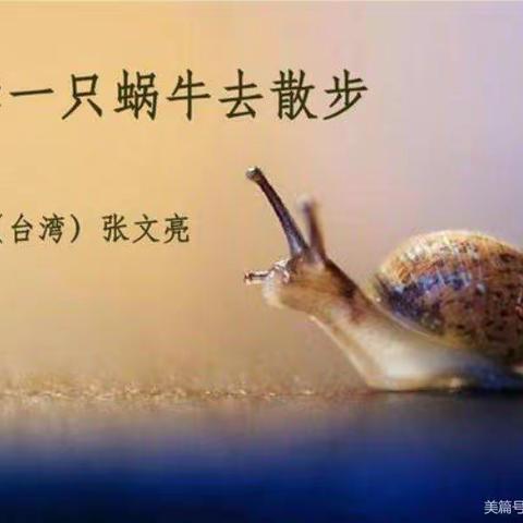 牵一只蜗牛🐌去散步