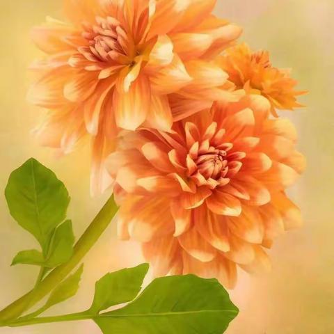 洪二宝今天三岁啦！🎂🎂🎂🎂🎂👏👏👏