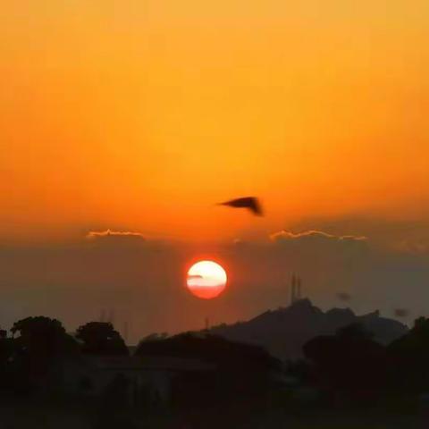 秋雨送凉意，教研促成长