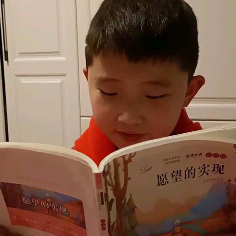 小学期阅读打卡第550天（205）愿望的实现—纸牌国3.25