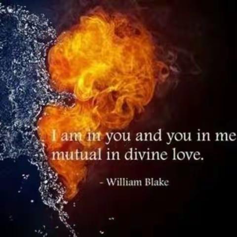 无条件的爱——给予能量，提升自我