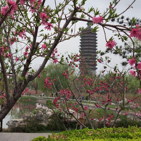 砥砺前行，学子们的深夜之战与终点感悟。