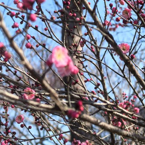 致焦虑迷茫的女性朋友的一封信