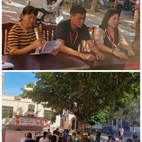 杨柳村第九届村民委员会选举大会