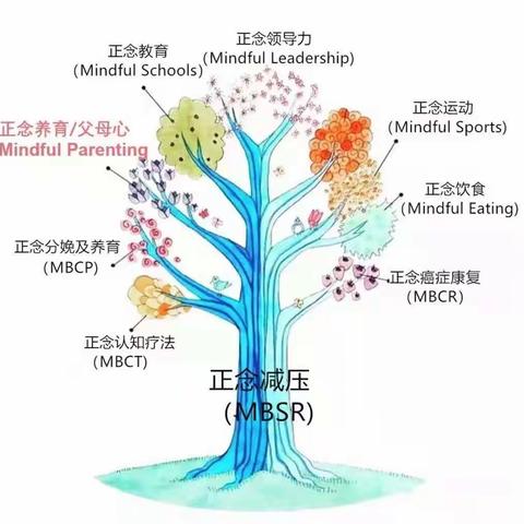 线上读书，别样风采--靖安 《觉醒  正念》读书会剪影