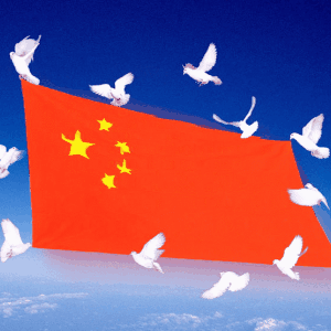 我的小可爱