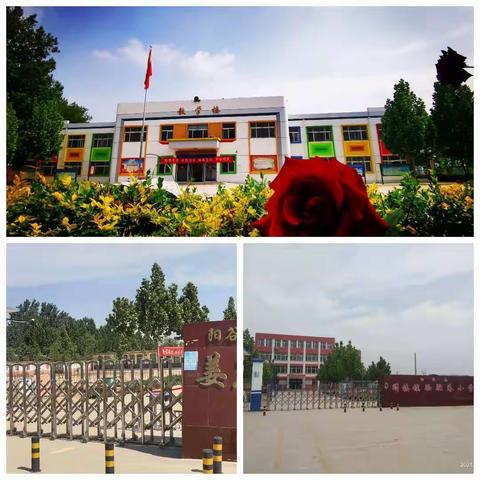 勇担育人使命，致力学校发展 ——蓬勃发展的阳谷县阎楼镇小学