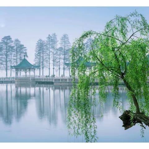 2023年武汉巜春光美》之三