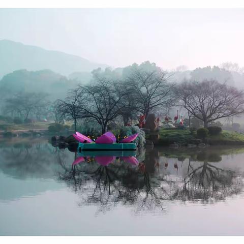 2023年武汉东湖樱花园巜春光美》