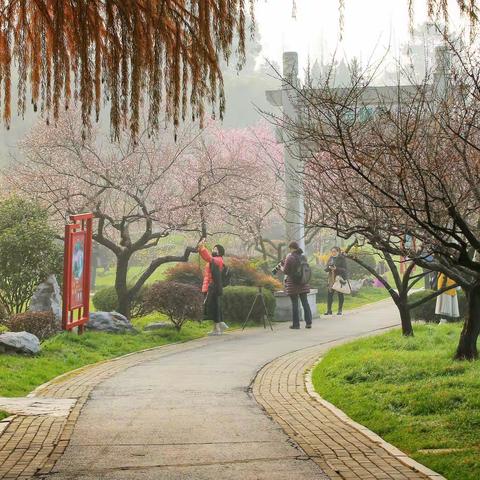 缟衣仙子变新装，浅染春前一样黄。不肯皎然争腊雪，只将孤艳付幽香。～宋.郑刚中