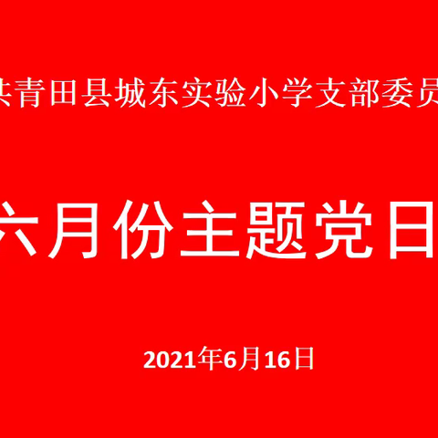 城东实验小学党支部开展六月份主题党日活动