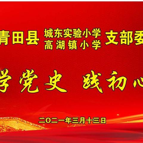 城东实小、高湖镇小党支部联合开展“学党史  践初心” 红色主题教育活动