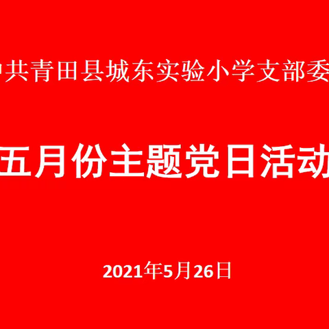 城东实验小学党支部开展五月份主题党日活动