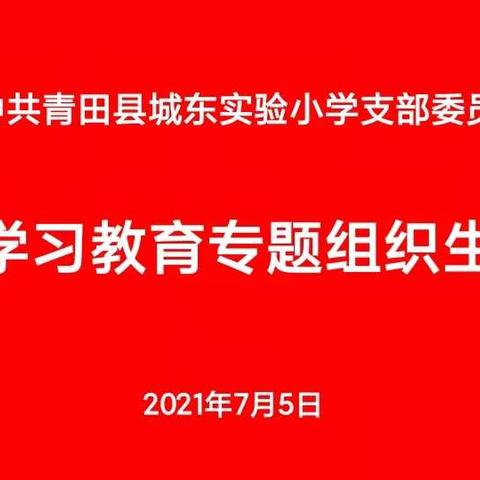 城东实验小学党支部开展七月份主题党日活动暨党史学习教育专题组织生活会