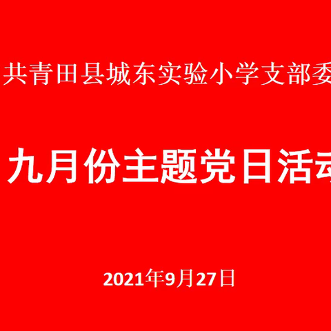 城东实验小学党支部开展九月份主题党日活动