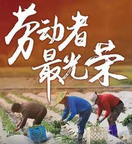 劳动人民最光荣——实验学校七（10）班劳动教育主题美篇