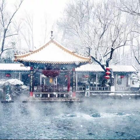 济南雪景美到刷屏，跟着“小颐”一起来看看，济南的冬天到底有多美？