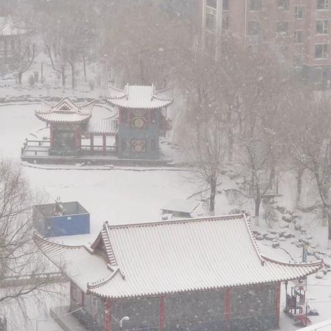 初冬小区雪美景手机随手拍