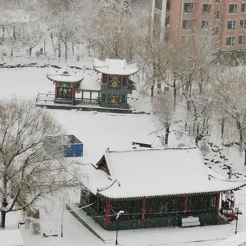 《三月初春雪》因疫情封城2022年3月13日拍第二天就不让下楼了，记忆深刻不平范的三月