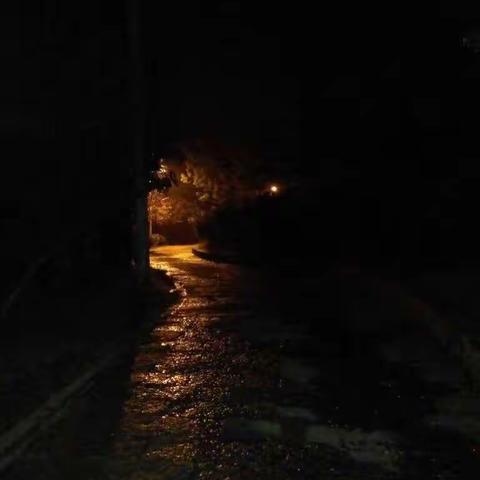 《可怕的小路》张慧颖