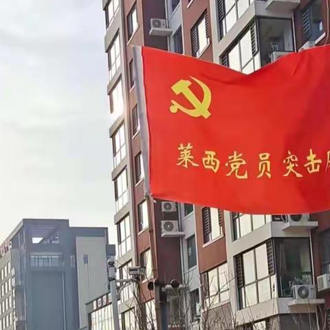 党员先锋做表率， 抗击疫情显担当~~翠景园小区党员战“疫”先锋队