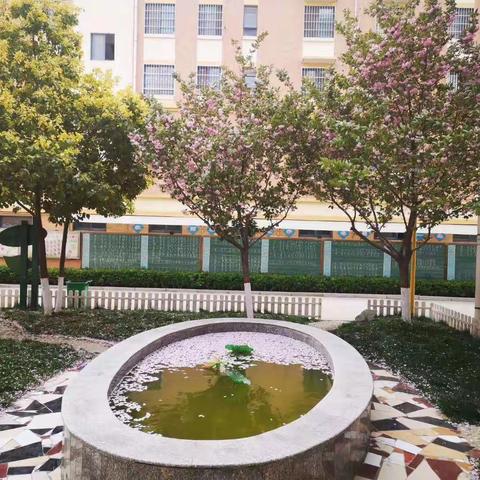 全力以“复”，抓好衔接——郸城县第三实验小学复学摸底检测