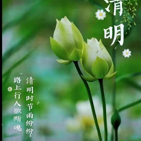 浓情清明、浸润童心