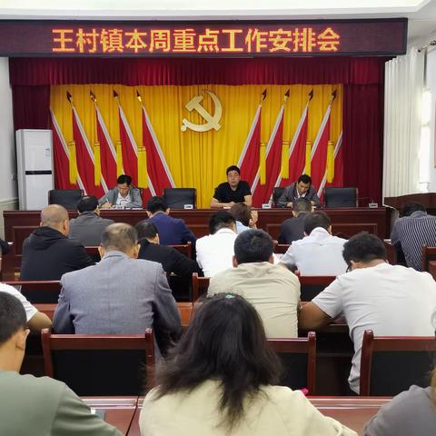王村镇扎实开展“我为群众办实事，我为党旗添光彩”义务劳动日活动