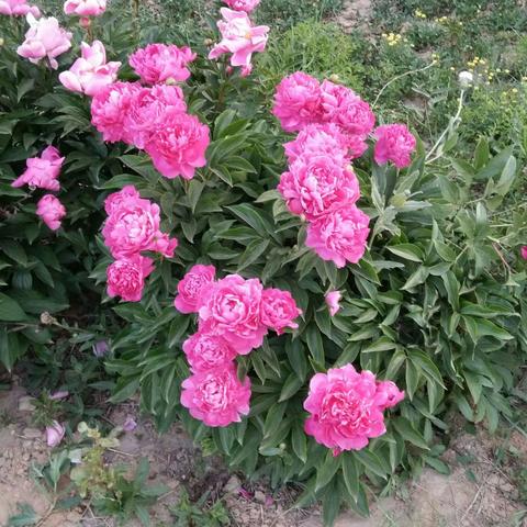 @我就是我的美篇