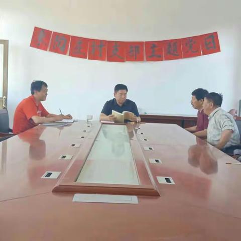 东陶庄村“党支部主题党日”活动