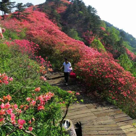 以建设大别山新能源示范基地为突破口，推进麻城革命老区“碳达峰”“碳中和”先行区建设