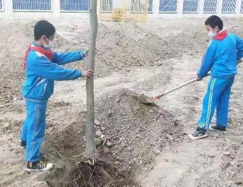 绿意盎然，春来校园—库尔勒市七小教育集团铁克其乡中心学校植树绿化活动