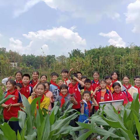 峰小五5班，快乐劳动班