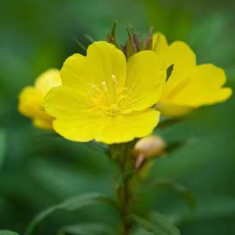 不断磨炼 砥砺前行--台头一中初一新生军训第三天