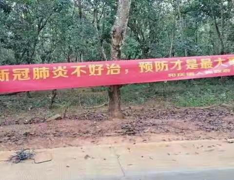 践行初心使命——和庆镇驻村第一书记坚守在防控第一线