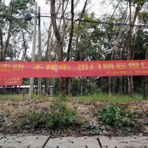 和庆镇充分发挥党建引领作用 全力以赴抓好疫情防控工作